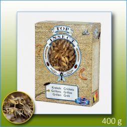 TOPINSECT Grillons 1L/400g