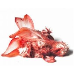 Oreille de lapins 10 X 0.5Kg