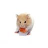 Hamster Doré vivant