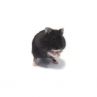 Hamster russe noir vivant