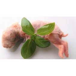 Lapin bébé  20 - 100 g