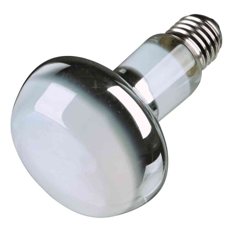 Lampe spot à chaleur:ø 80 × 108 mm, 35 W 
